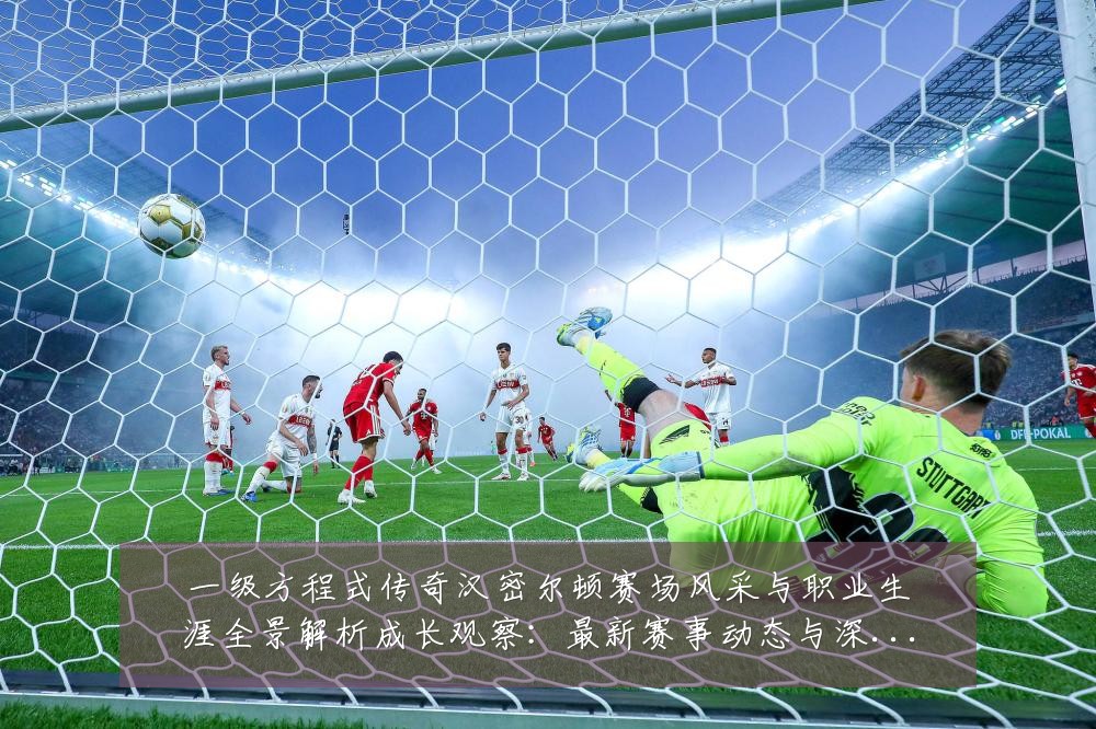 一级方程式传奇汉密尔顿赛场风采与职业生涯全景解析成长观察:最新赛事动态与深度分析